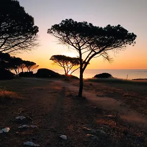 Asfodelo Casa vacanze Villaputzu